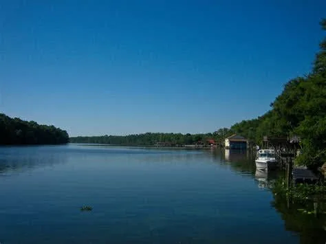 THIS Is TRUE MOBILITY!